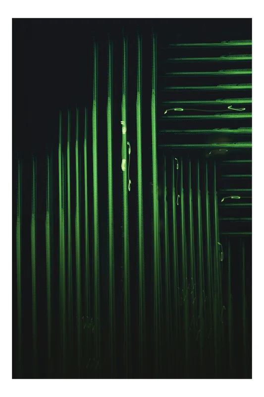 Tablou Canvas cu tema Vibrația Luminii în Tăcerea Nocturnă, 50 x 90 cm
