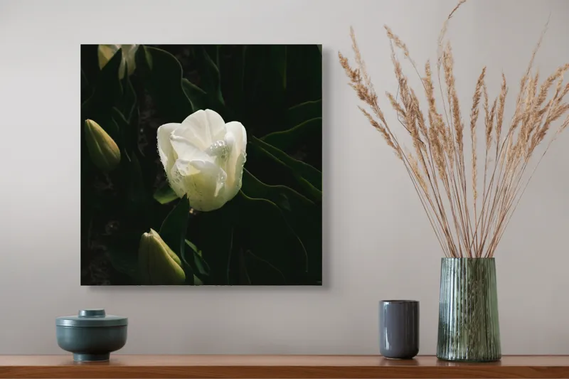 Tablou Canvas cu motiv floral, Lumina din inima grădinii tăcute, 50 x 50 cm – poza 4