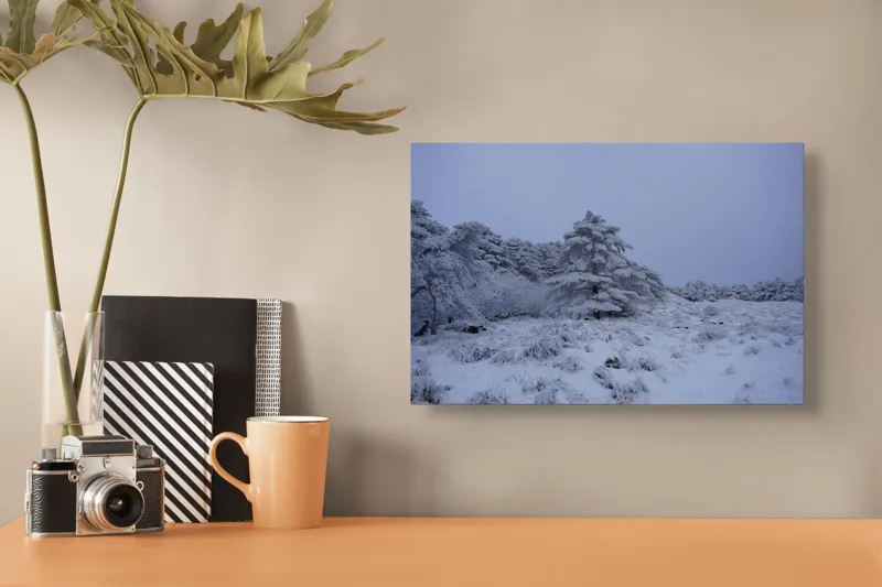 Tablou Canvas, "Pădure înghețată sub cerul albastru", Albastru, Rece, Ninsoare, Copaci, Iarnă, Tăcere, Înghețat, Natură, Peisaj, Tranquilitate, 39 x 26 cm – poza 3