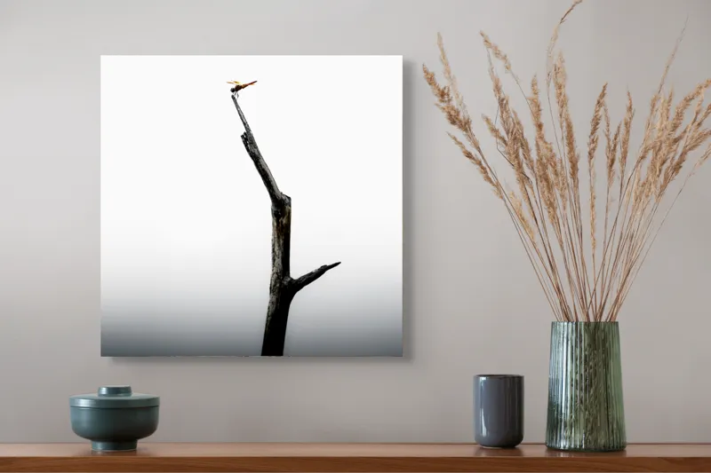 Tablou Canvas Zborul tăcut al libelulei singuratice, 50 x 50 cm – poza 4
