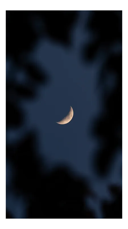 Tablou Canvas, "Luna printre siluete întunecate", 50 x 70 cm