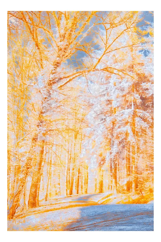 Tablou Canvas pe teme de toamnă și natură, 100 x 100 cm