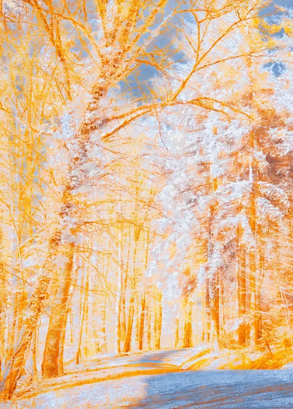 Tablou Canvas pe teme de toamnă și natură, 50 x 70 cm – poza 2