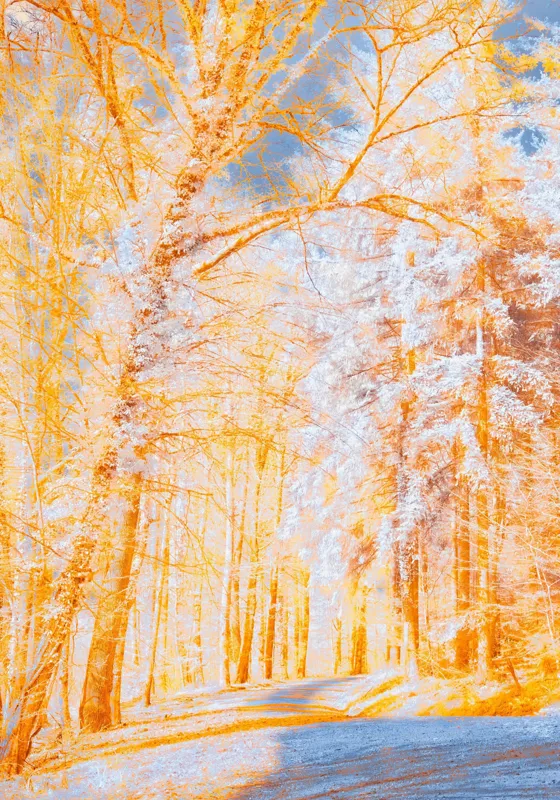 Tablou Canvas pe teme de toamnă și natură, 70 x 100 cm – poza 2