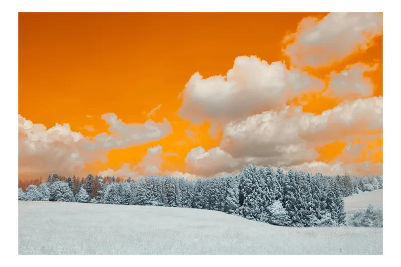 Tablou Canvas Peisaj Iarnă Natură Zăpadă Portocaliu Contrast, 39 x 26 cm