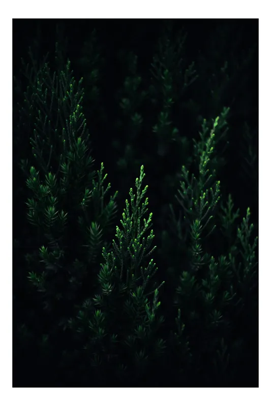 Tablou Canvas Frunziș Verde Misterios Lumină Siluete Natural, 26 x 39 cm