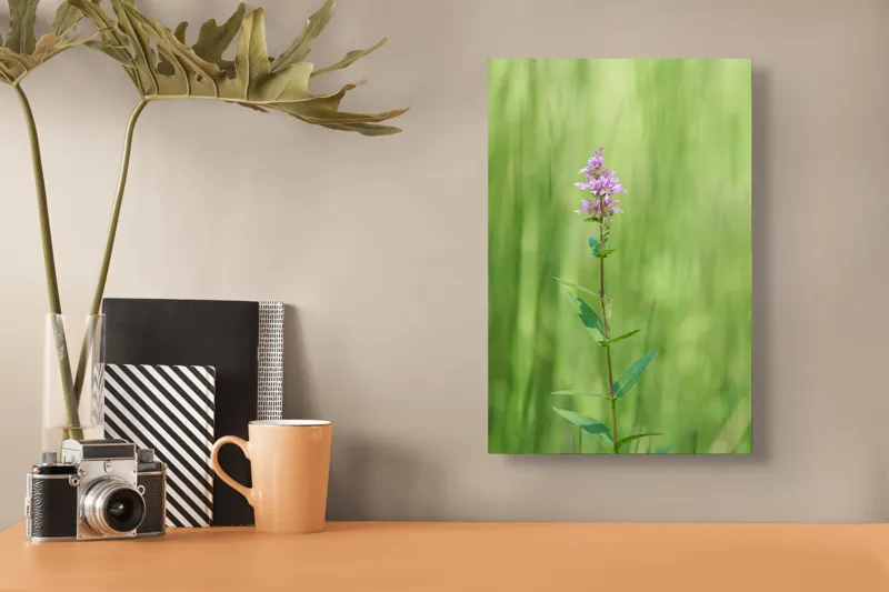 Tablou Canvas, "Floare solitară în verde infinit", Floare, Mov, Delicată, Verdeață, Natură, Singurătate, Verticalitate, Simplitate, Fragilitate, Prospețime, 26 x 39 cm – poza 3