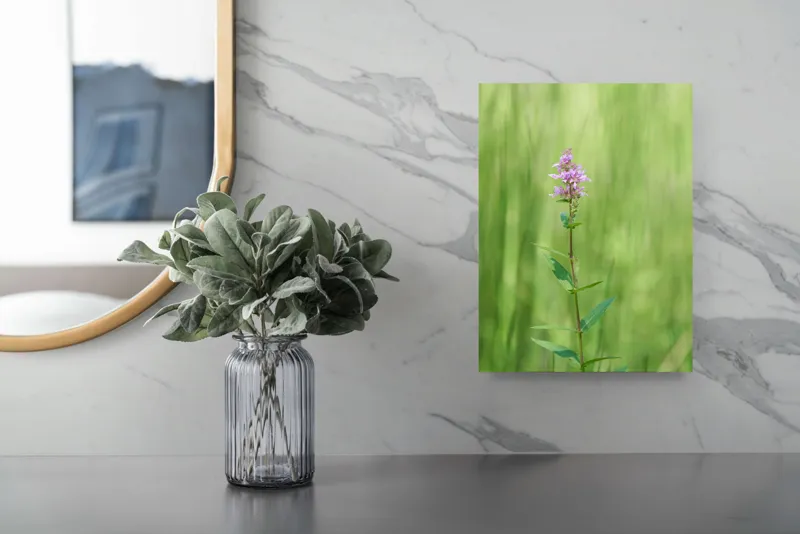 Tablou Canvas, "Floare solitară în verde infinit", Floare, Mov, Delicată, Verdeață, Natură, Singurătate, Verticalitate, Simplitate, Fragilitate, Prospețime, 26 x 39 cm – poza 4