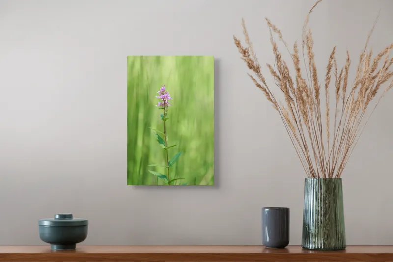 Tablou Canvas, "Floare solitară în verde infinit", Floare, Mov, Delicată, Verdeață, Natură, Singurătate, Verticalitate, Simplitate, Fragilitate, Prospețime, 26 x 39 cm – poza 5