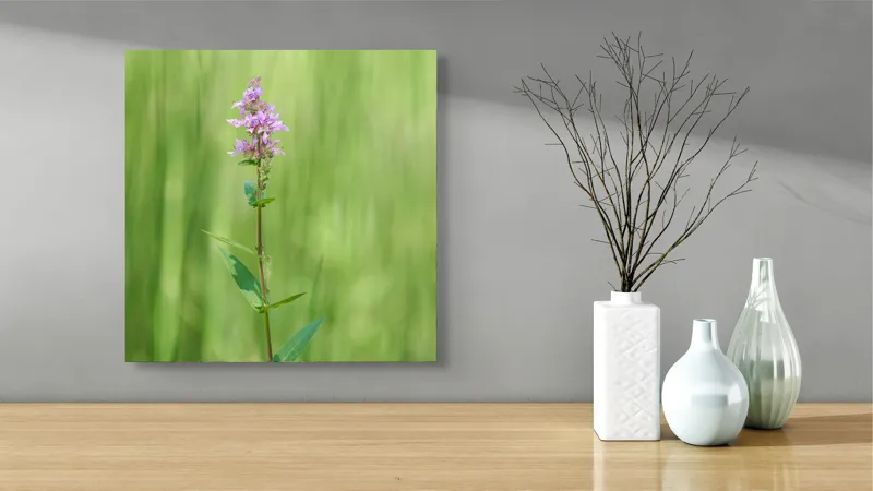 Tablou Canvas, "Floare solitară în verde infinit", Floare, Mov, Delicată, Verdeață, Natură, Singurătate, Verticalitate, Simplitate, Fragilitate, Prospețime, 50 x 50 cm – poza 3