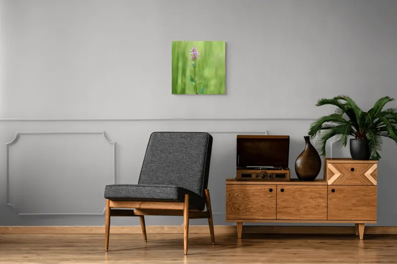 Tablou Canvas, "Floare solitară în verde infinit", Floare, Mov, Delicată, Verdeață, Natură, Singurătate, Verticalitate, Simplitate, Fragilitate, Prospețime, 50 x 50 cm – poza 6