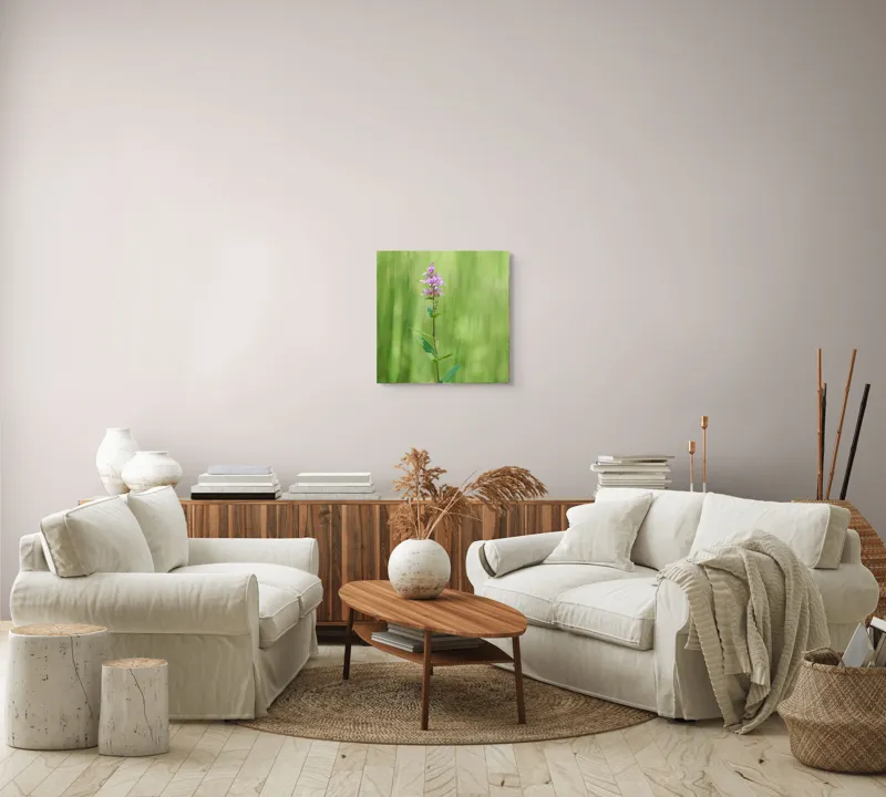 Tablou Canvas, "Floare solitară în verde infinit", Floare, Mov, Delicată, Verdeață, Natură, Singurătate, Verticalitate, Simplitate, Fragilitate, Prospețime, 50 x 50 cm – poza 7