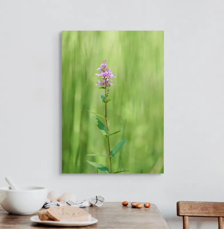 Tablou Canvas, "Floare solitară în verde infinit", Floare, Mov, Delicată, Verdeață, Natură, Singurătate, Verticalitate, Simplitate, Fragilitate, Prospețime, 50 x 70 cm – poza 3