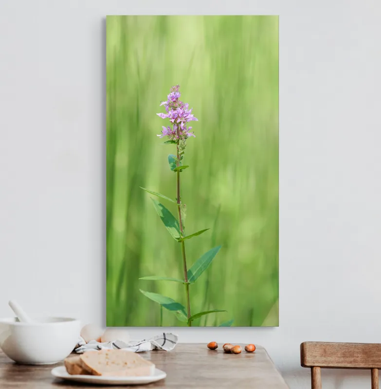 Tablou Canvas, "Floare solitară în verde infinit", Floare, Mov, Delicată, Verdeață, Natură, Singurătate, Verticalitate, Simplitate, Fragilitate, Prospețime, 50 x 90 cm – poza 3