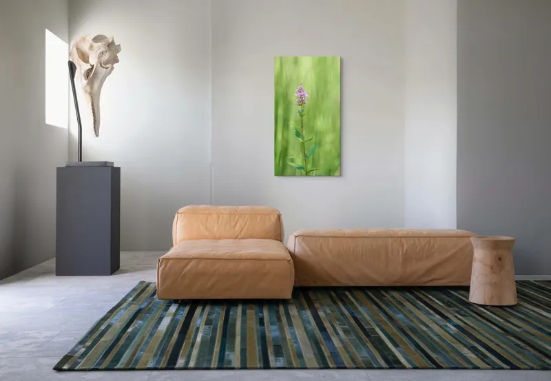 Tablou Canvas, "Floare solitară în verde infinit", Floare, Mov, Delicată, Verdeață, Natură, Singurătate, Verticalitate, Simplitate, Fragilitate, Prospețime, 50 x 90 cm – poza 5
