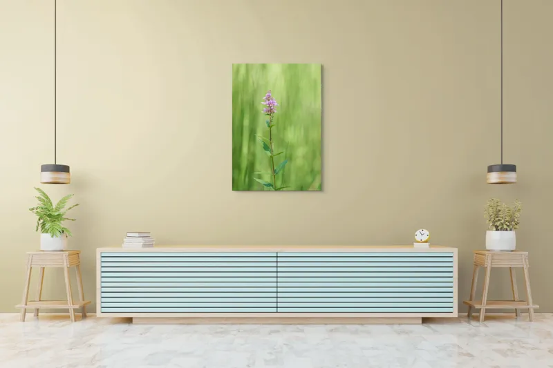 Tablou Canvas, "Floare solitară în verde infinit", Floare, Mov, Delicată, Verdeață, Natură, Singurătate, Verticalitate, Simplitate, Fragilitate, Prospețime, 70 x 100 cm – poza 5