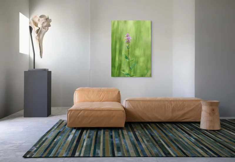 Tablou Canvas, "Floare solitară în verde infinit", Floare, Mov, Delicată, Verdeață, Natură, Singurătate, Verticalitate, Simplitate, Fragilitate, Prospețime, 70 x 100 cm – poza 7