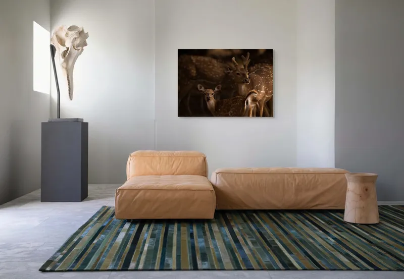 Tablou Canvas Dansul grațios al cerbilor pătați, 100 x 70 cm – poza 7