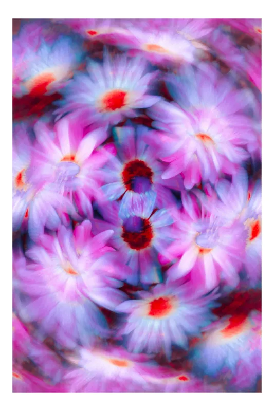 Tablou Canvas cu Flori Efemere, Artă Florală Abstractă pentru Interioare, 39 x 54 cm