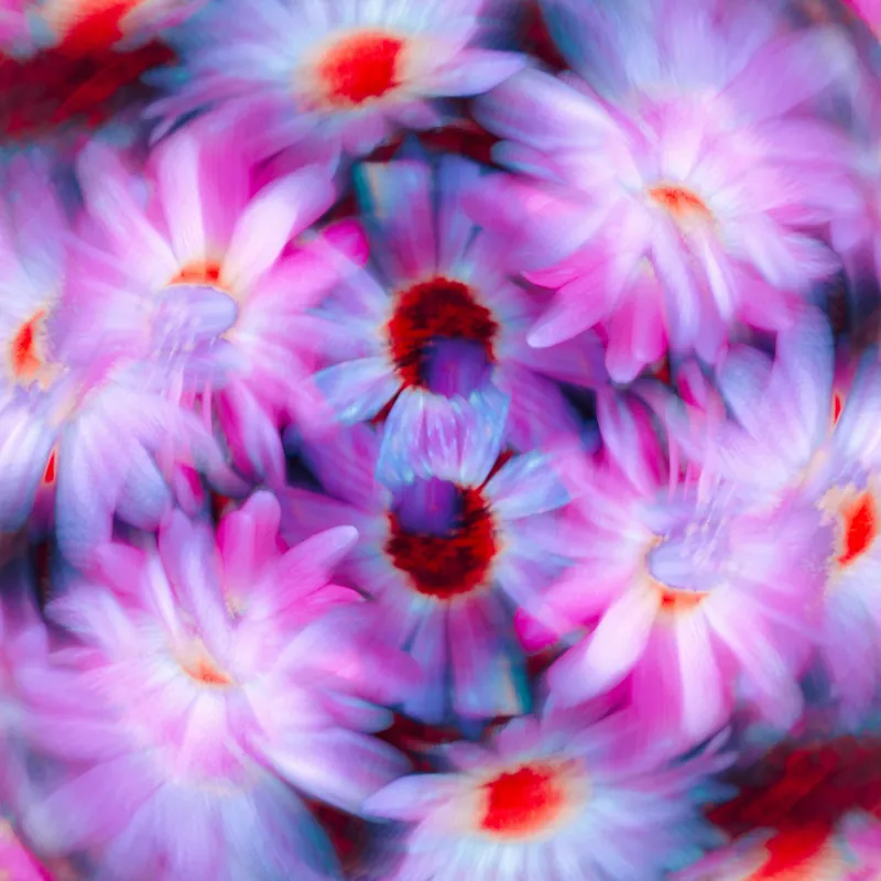 Tablou Canvas cu Flori Efemere, Artă Florală Abstractă pentru Interioare, 100 x 100 cm – poza 2