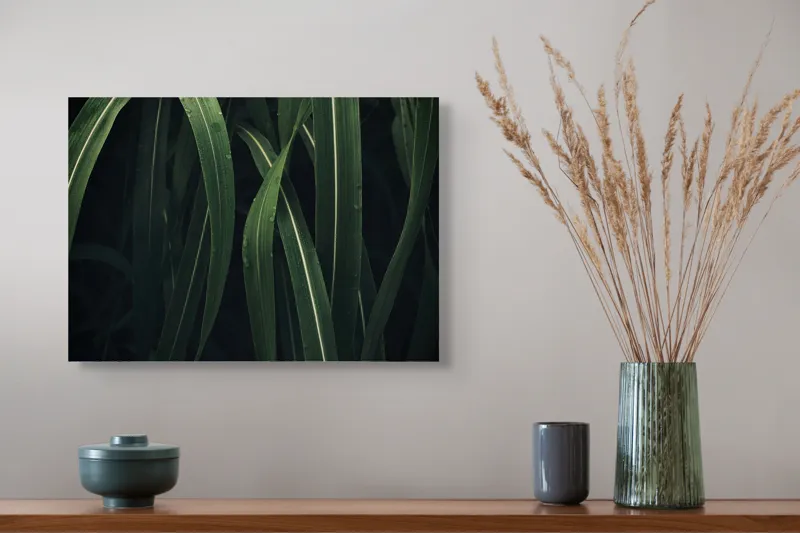 Tablou Canvas, "Verde proaspăt în dansul naturii", Frunze, Verde, Umezeală, Întunecat, Natură, Textură, Vegetație, 54 x 39 cm – poza 4