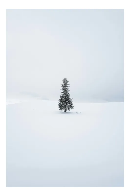 Tablou Canvas, "Singurătatea unui brad în iarnă", Copac, Singurătate, Alb, Zăpadă, Cer, Calm, Liniște, Peisaj, Iarnă, Natură, 100 x 150 cm