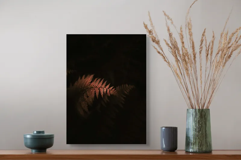 Tablou Canvas, "Ferigi sub lumina misterioasă", Frunze, Întuneric, Contrast, Mister, Natură, 39 x 54 cm – poza 3