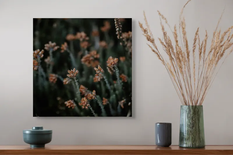 Tablou Canvas, "Flori sălbatice dansând în întuneric", Flori, Uscate, Toamnă, Natură, Tablou, Melancolie, Vegetație, Delicat, Întuneric, Textură, 50 x 50 cm – poza 4