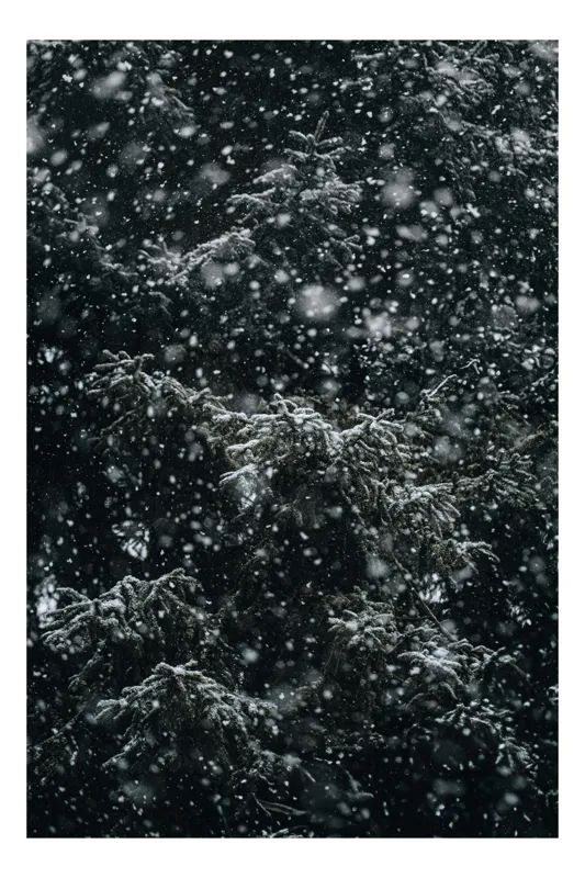 Tablou Canvas, "Dansul fulgilor prin pădurea tăcută", Fulgi, Pădure, Iarnă, Brăduț, Întuneric, Răcoare, Vânt, Viscol, Liniște, Frumusețe, 26 x 39 cm