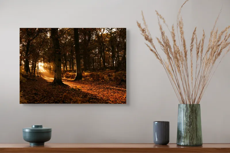 Tablou Canvas, "Răsărit fermecător în pădurea de toamnă", Pădure, Toamnă, Lumină, Frunze, Umbră, Cărare, Copaci, Apus, Natură, Aurii, 54 x 39 cm – poza 4