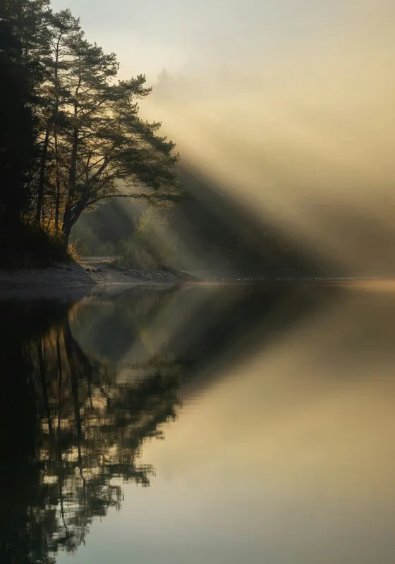 Tablou Canvas, "Lumină de dimineață pe lac liniștit", Copaci, Lumină, Reflecții, Liniște, Apă, Natură, Mister, Apus, 70 x 100 cm – poza 2