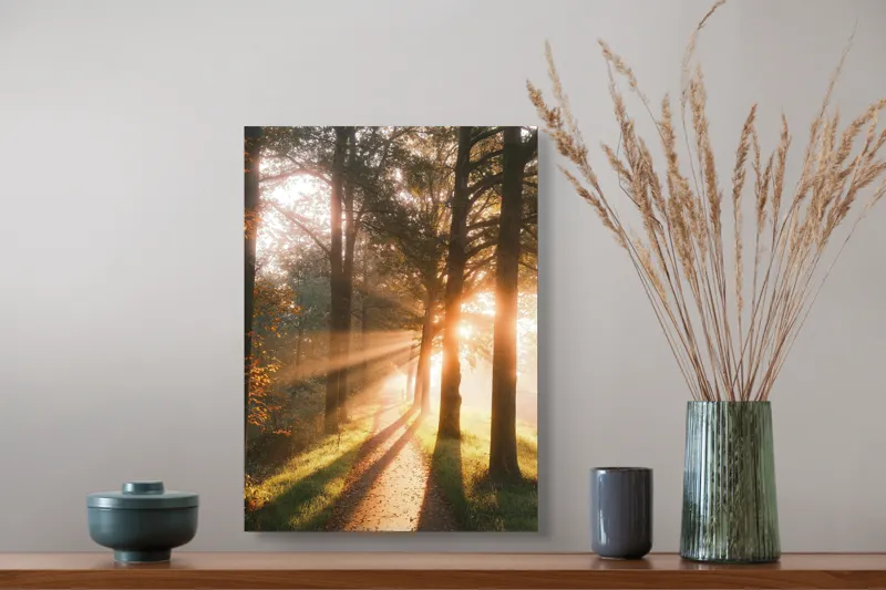 Tablou Canvas, "Răsăritul strălucitor printre copaci înalți", Lumină, Copaci, Alee, Umbre, Răsărit, Natură, Frumusețe, Serenitate, 39 x 54 cm – poza 3