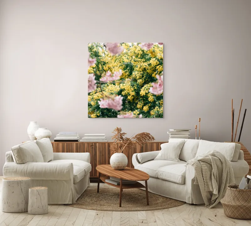 Tablou Canvas, "Flori de primăvară învăluite în lumină", Flori, Roz, Galben, Primăvară, Natură, Blândețe, Viu, Delicat, Înfloresc, Răsfirate, 100 x 100 cm – poza 3