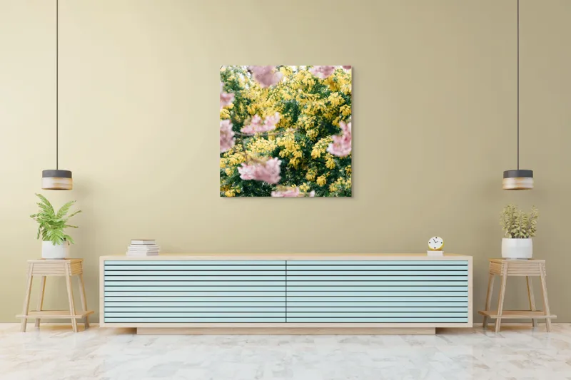 Tablou Canvas, "Flori de primăvară învăluite în lumină", Flori, Roz, Galben, Primăvară, Natură, Blândețe, Viu, Delicat, Înfloresc, Răsfirate, 100 x 100 cm – poza 5
