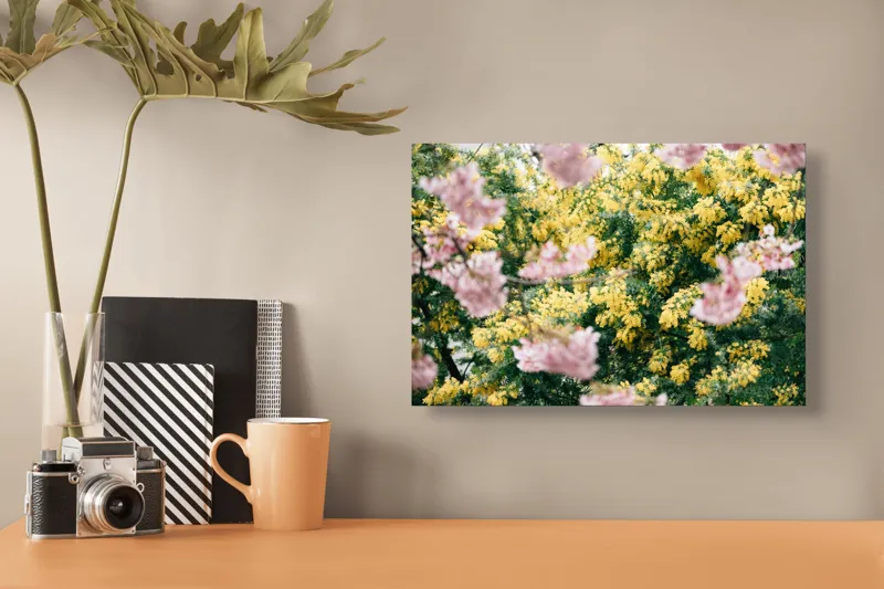 Tablou Canvas, "Flori de primăvară învăluite în lumină", Flori, Roz, Galben, Primăvară, Natură, Blândețe, Viu, Delicat, Înfloresc, Răsfirate, 39 x 26 cm – poza 3
