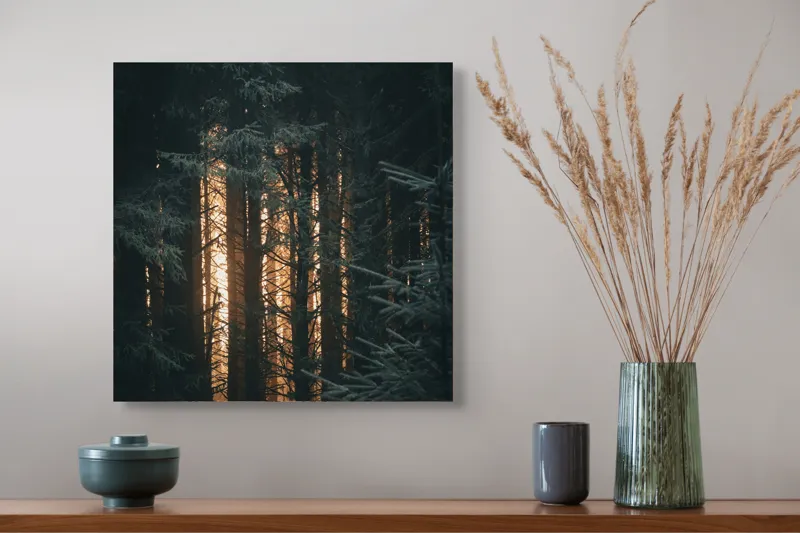 Tablou Canvas, "Răsărit printre brazi umbriți", Întuneric, Mister, Pădure, Lumini, Siluete, Arome, Frunziș, Liniște, Umbre, Reflexie, 50 x 50 cm – poza 4