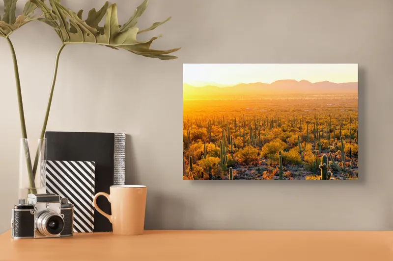 Tablou Canvas Peisaj Deșert Saguaro Apus Aurii Soare Lumină, 39 x 26 cm – poza 3