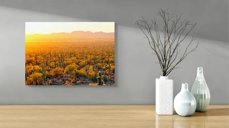 Tablou Canvas Peisaj Deșert Saguaro Apus Aurii Soare Lumină, 54 x 39 cm – poza 3