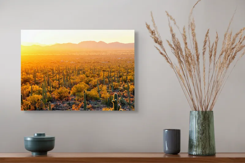 Tablou Canvas Peisaj Deșert Saguaro Apus Aurii Soare Lumină, 54 x 39 cm – poza 4