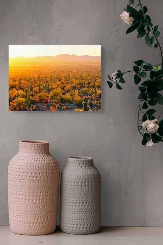 Tablou Canvas Peisaj Deșert Saguaro Apus Aurii Soare Lumină, 54 x 39 cm – poza 8