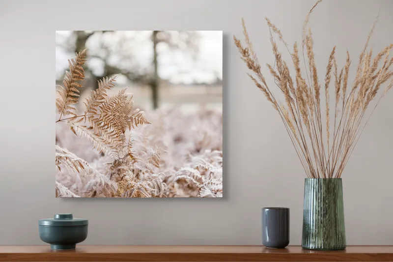 Tablou Canvas Frunze de Ferigă în Bruma Dimineții - Peisaj Toamna, 50 x 50 cm – poza 4