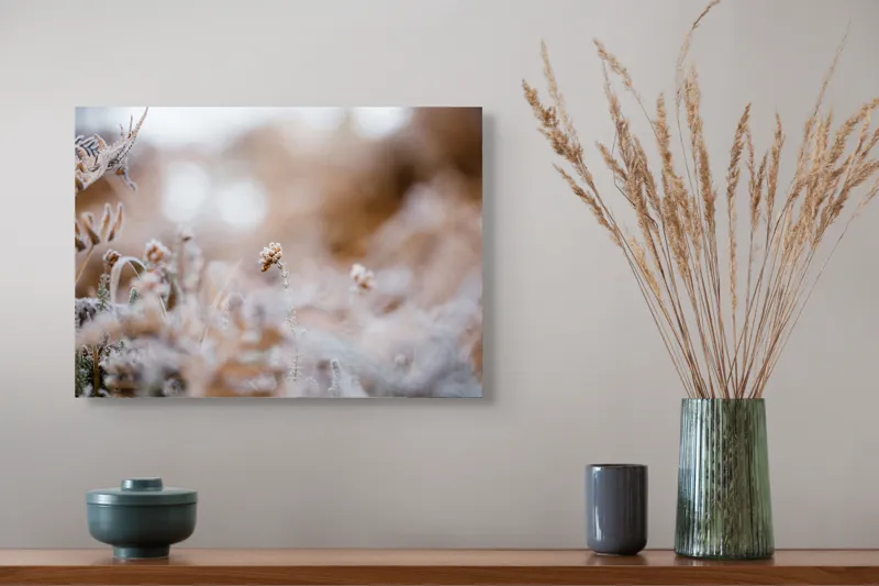 Tablou Canvas Flori Înghețate în Dimineața de Iarnă Natură și Gheață, 54 x 39 cm – poza 4