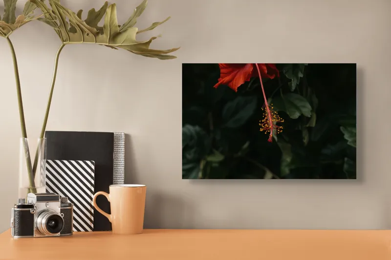 Tablou Canvas Hibiscus Roșu - Artă Naturală și Detalii Florii, 39 x 26 cm – poza 3