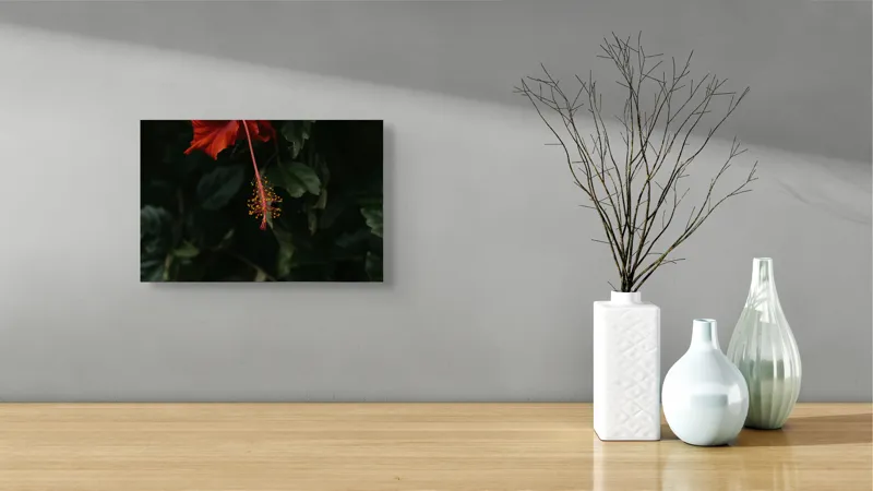 Tablou Canvas Hibiscus Roșu - Artă Naturală și Detalii Florii, 39 x 26 cm – poza 8