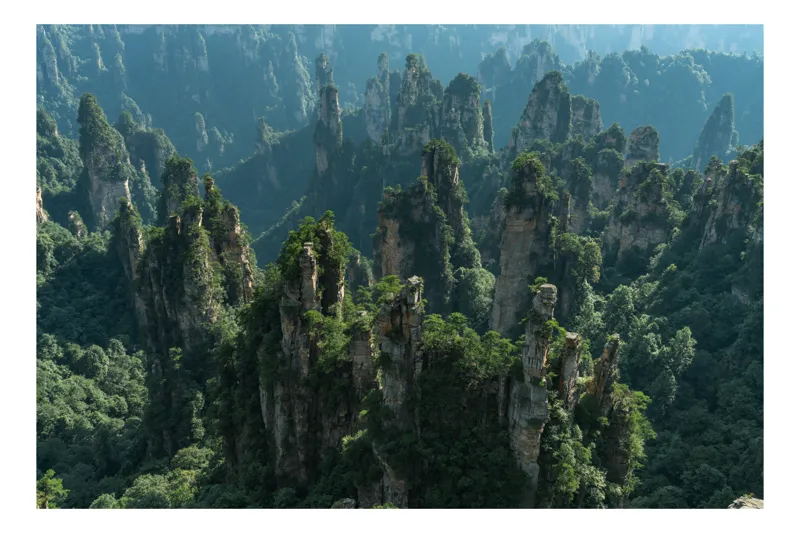 Tablou Canvas, "Pădurea stâncilor impresionante din munți", Verde, Impunător, Munți, Păduri, Mist, Stânci, Natură, Peisaj, Înălțime, Vegetație, 54 x 39 cm