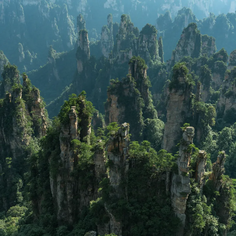 Tablou Canvas, "Pădurea stâncilor impresionante din munți", Verde, Impunător, Munți, Păduri, Mist, Stânci, Natură, Peisaj, Înălțime, Vegetație, 50 x 50 cm – poza 2