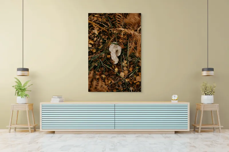 Tablou Canvas, "Ciupercă ascunsă printre frunze uscate", Frunze, Ciupercă, Pământ, Vegetație, Natură, Toamnă, Textură, Organic, Culori, Exterior, 100 x 150 cm – poza 4
