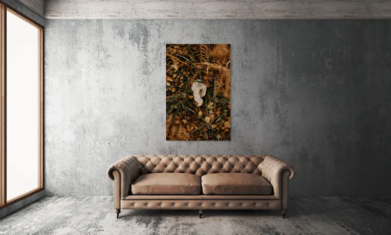 Tablou Canvas, "Ciupercă ascunsă printre frunze uscate", Frunze, Ciupercă, Pământ, Vegetație, Natură, Toamnă, Textură, Organic, Culori, Exterior, 100 x 150 cm – poza 6