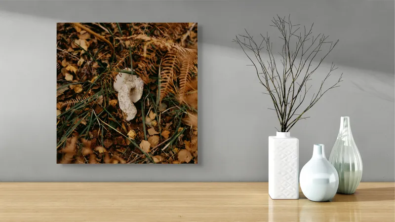 Tablou Canvas, "Ciupercă ascunsă printre frunze uscate", Frunze, Ciupercă, Pământ, Vegetație, Natură, Toamnă, Textură, Organic, Culori, Exterior, 50 x 50 cm – poza 3