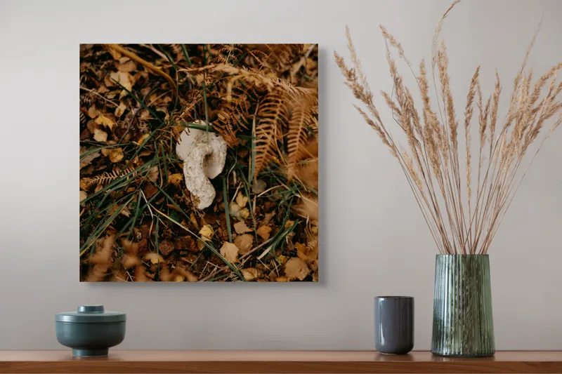 Tablou Canvas, "Ciupercă ascunsă printre frunze uscate", Frunze, Ciupercă, Pământ, Vegetație, Natură, Toamnă, Textură, Organic, Culori, Exterior, 50 x 50 cm – poza 4